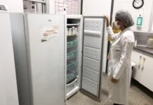 Banco de Leite Humano do Hospital da Mulher acende alerta para queda no estoque durante período junino