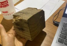Estudante de 13 anos perde a visão após ser agredida por colega com pedaço de madeira em colégio